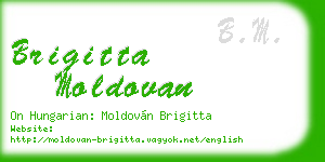 brigitta moldovan business card