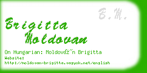 brigitta moldovan business card